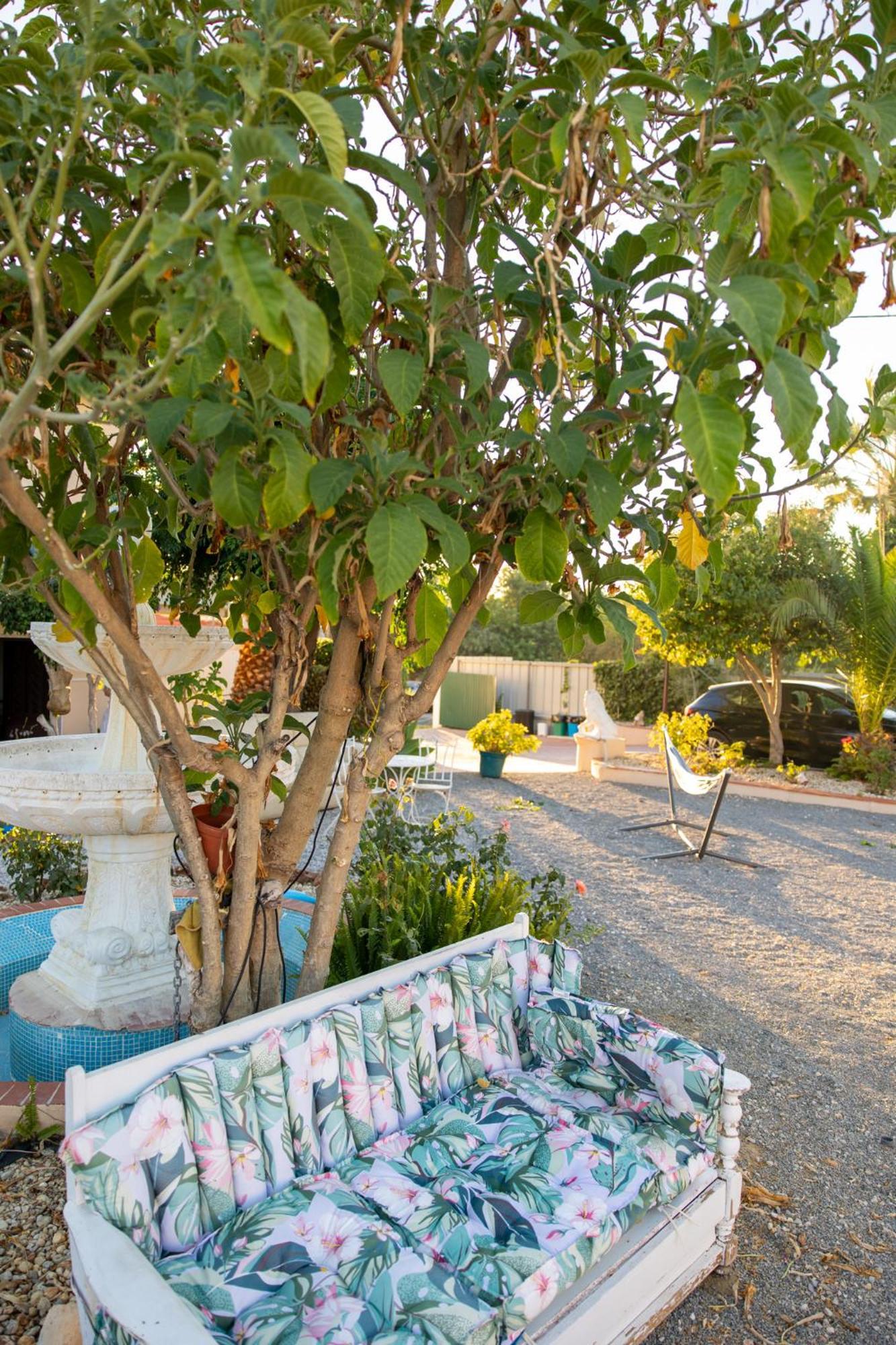 Bela Alexandra Guest House Фузета Экстерьер фото